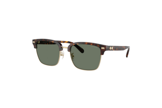 Coach Rogue Retro Sunglasses