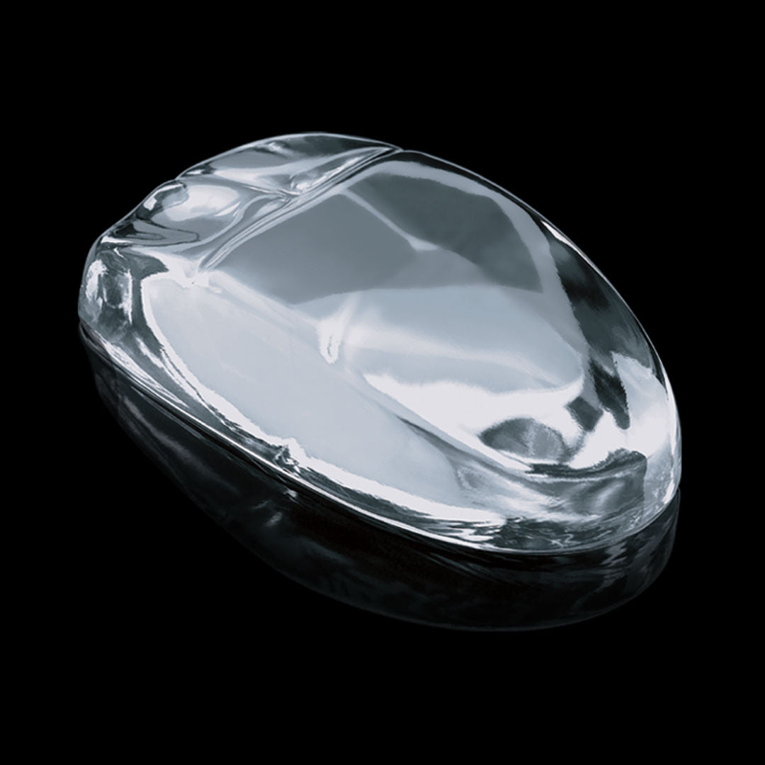 Computer Mouse Paperweight