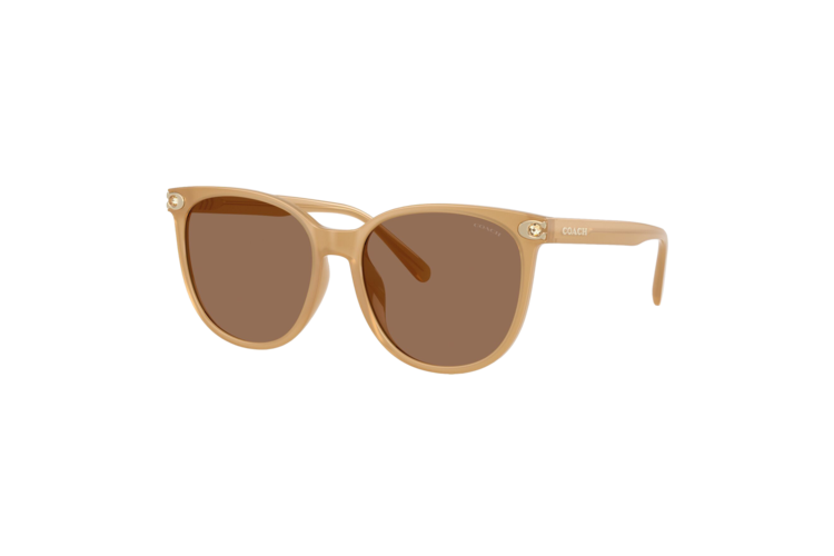 Coach Women's Embedded Signature Round Sunglasses