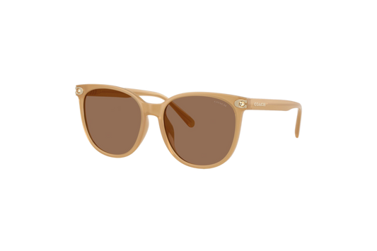 Coach Women's Embedded Signature Round Sunglasses