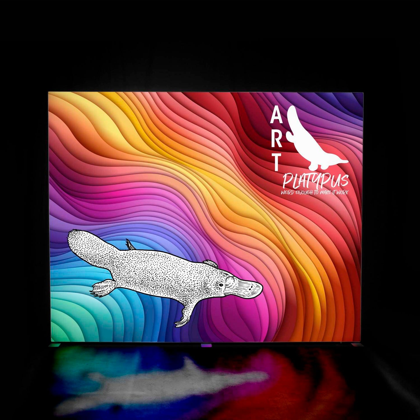 10' x 8' Premier SEG Glo Kit