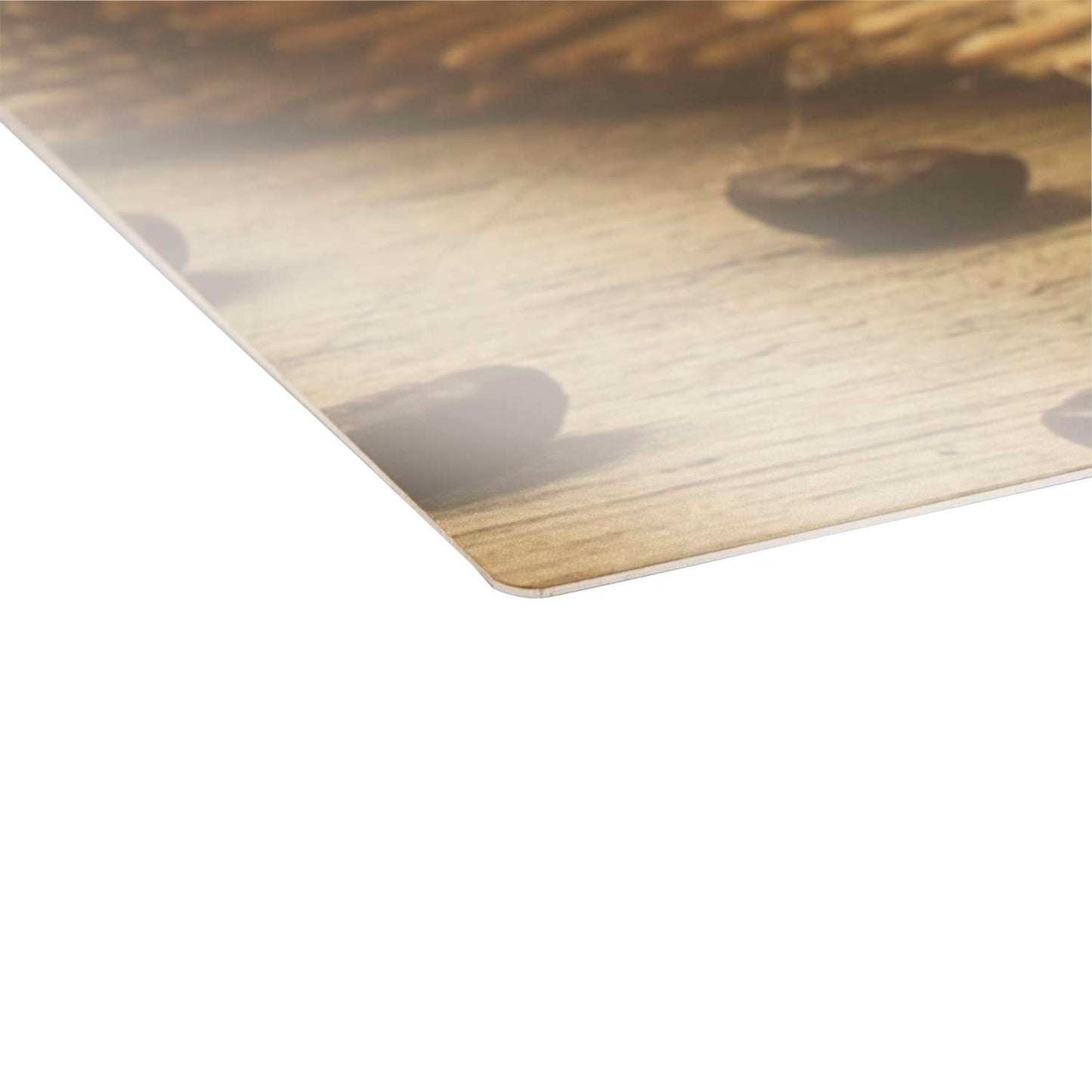 16"W X 16"H Glossy Aluminum Print