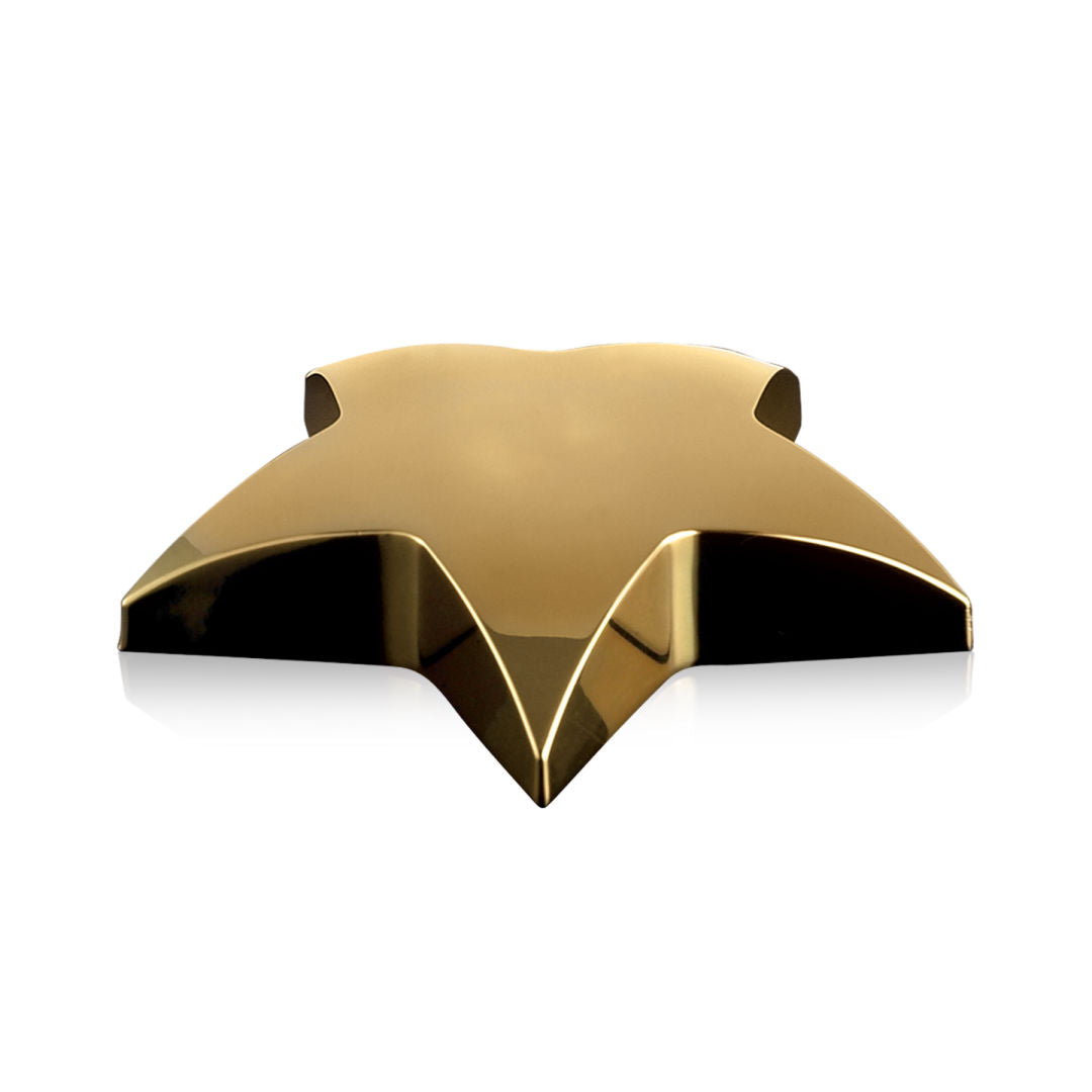 Hollister Star Paperweight