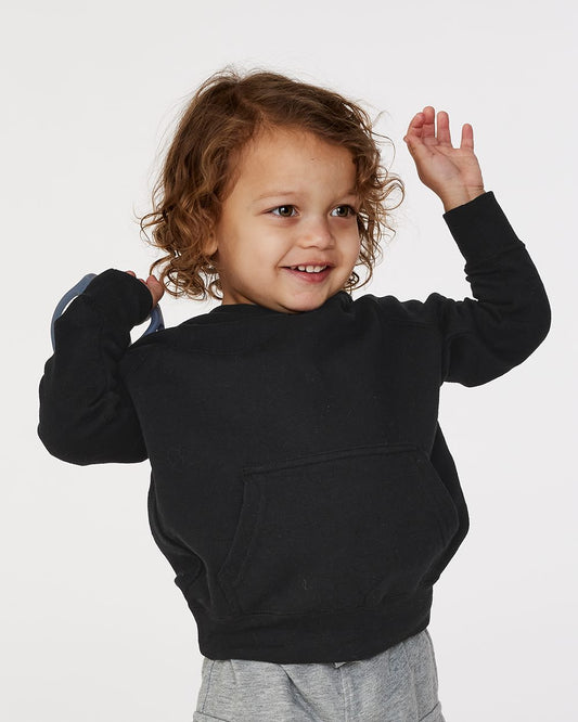 Toddler Special Blend Hooded Raglan Sweatshirt - PRM10TSB