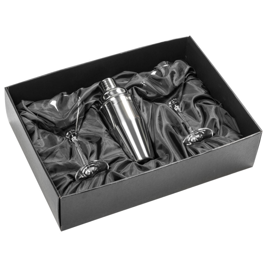 Connoisseur Shaker & Burlington Martini Set