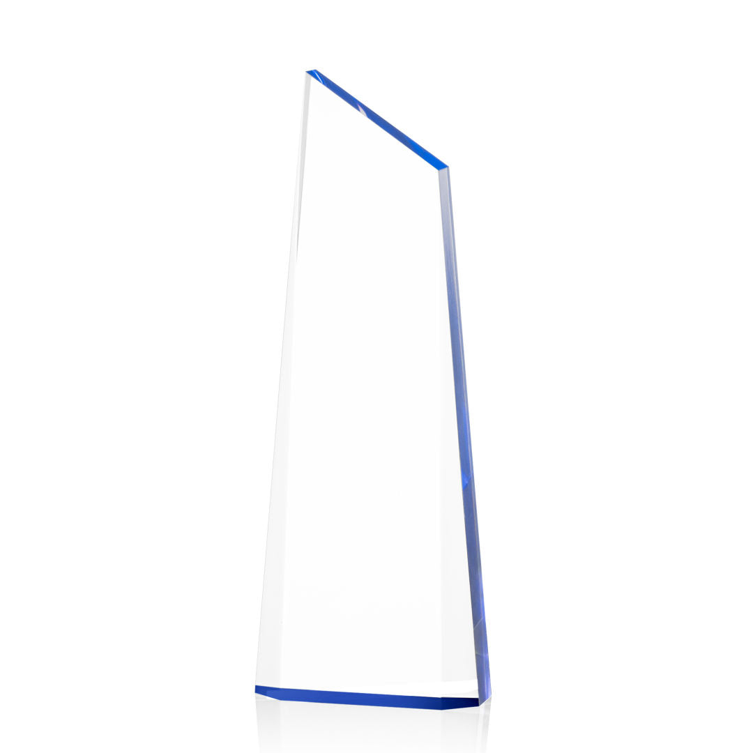 Webster Award
