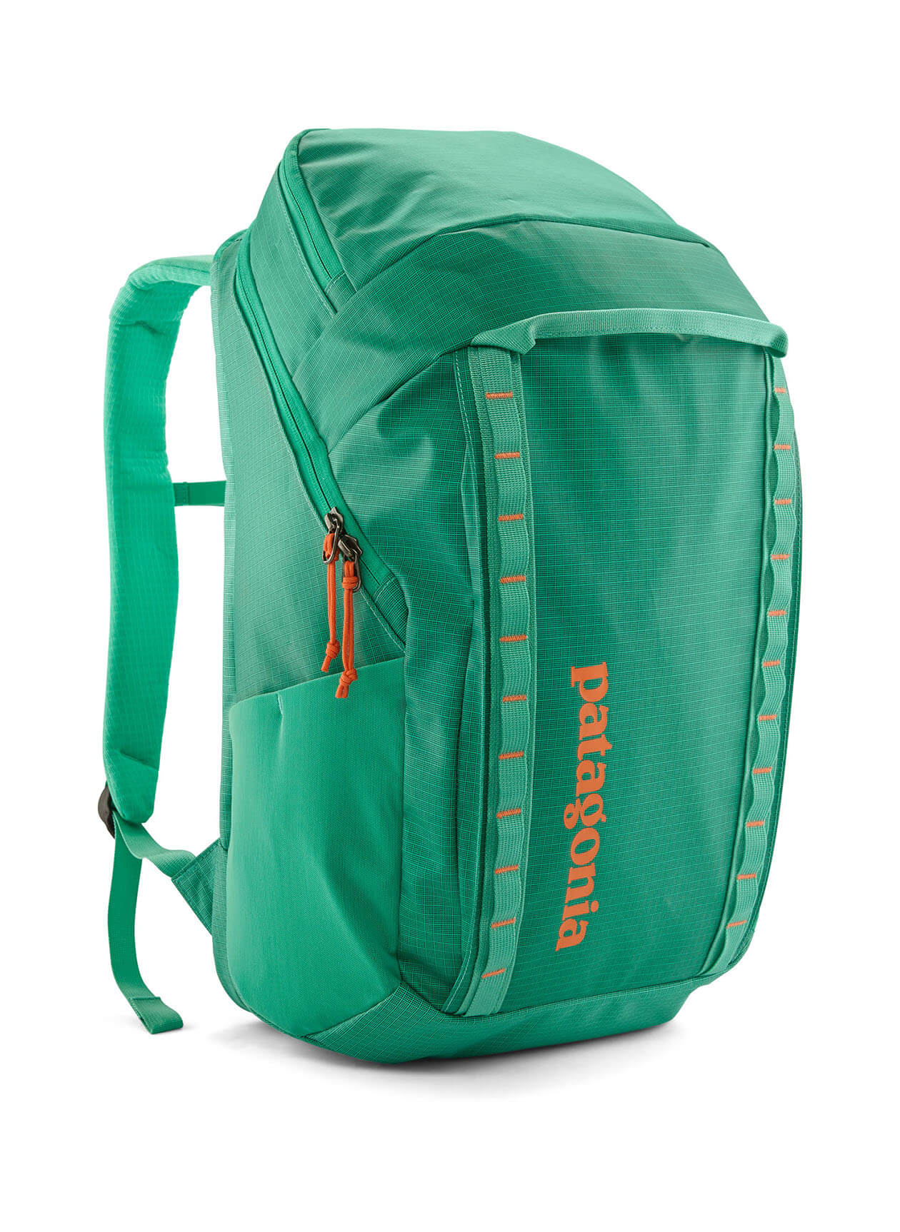 Patagonia Black Hole Pack 32L - Talon Gold - One Size