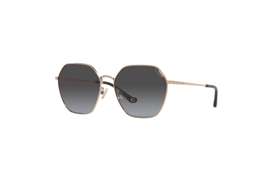 Coach Women's Metal Hexagon Sunglasses