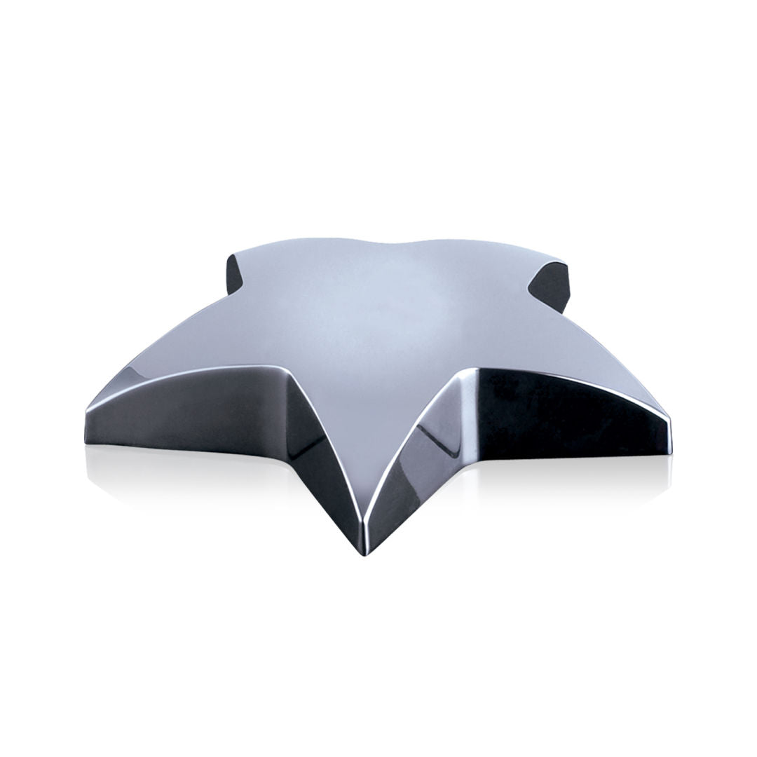 Hollister Star Paperweight