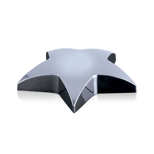 Hollister Star Paperweight