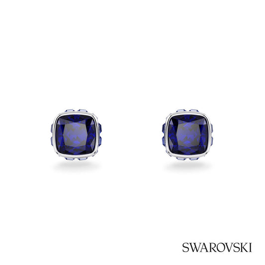 Swarovski® Birthstone Stud Earrings
