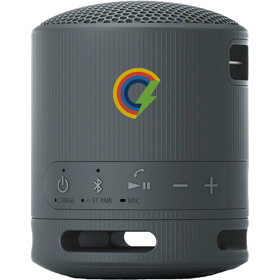 Sony SRS-XB100 Bluetooth Speaker