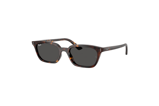 Ray-Ban Zaya Bio-Based Sunglasses