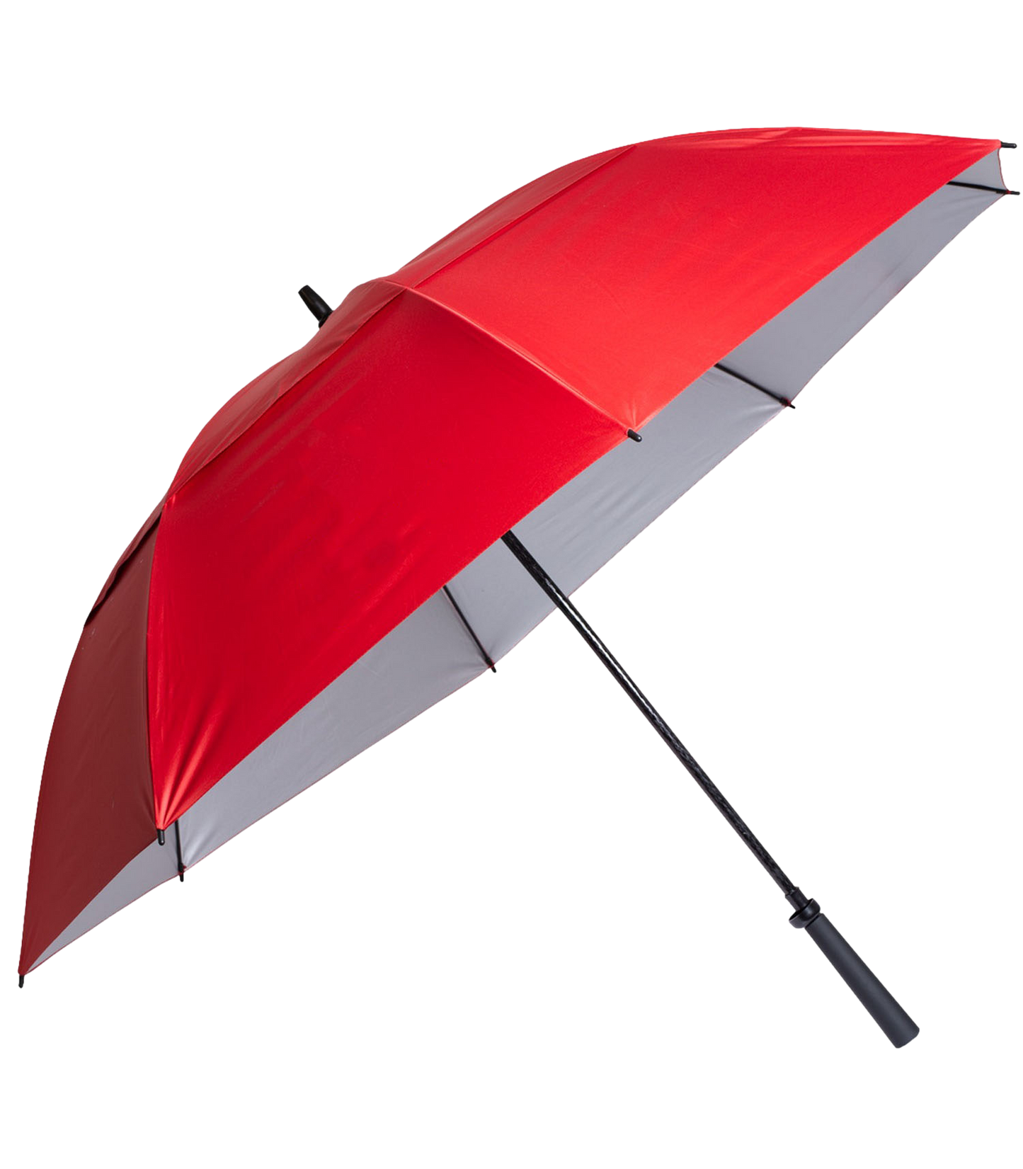 The Raydefyer Umbrella