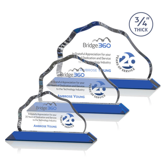 Petersen VividPrint™ Award - Blue