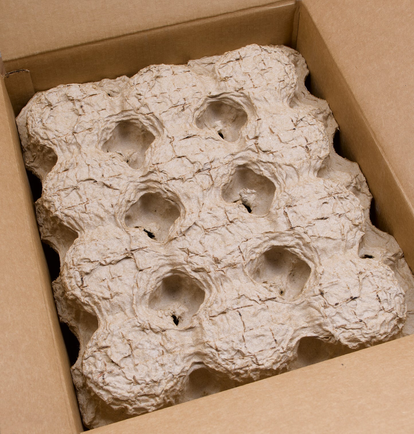 White Good Value™ Budget Mug - 11 oz.