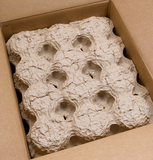 White Good Value™ Budget Mug - 11 oz.