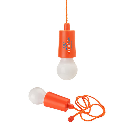 Twinkle Hanging Light