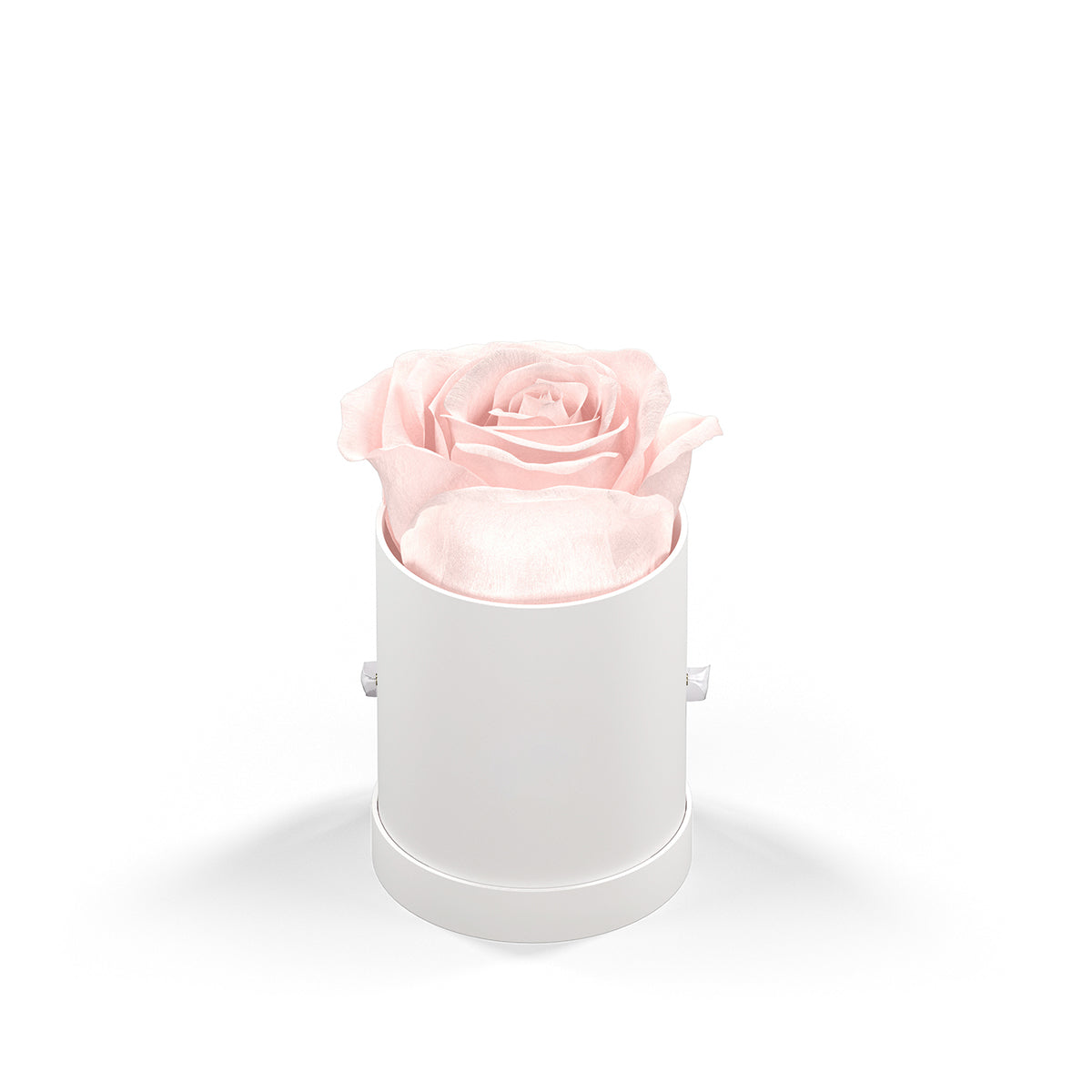 Classique by VeF Le Mini™ Round