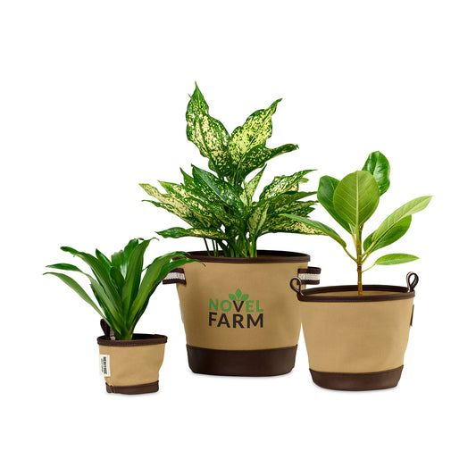 Dune Heritage Supply™ Plant, Grow and Store Trio of Pots