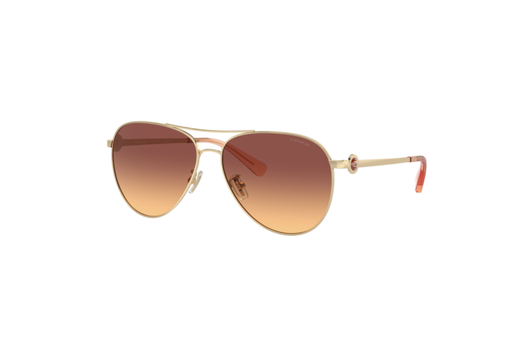 Coach Women's HC7128 Sunglasses