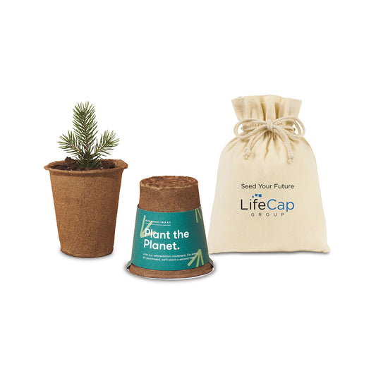 Spruce Modern Sprout® One For One Tree Kits