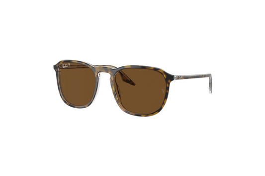 Ray-Ban Polarized RB2203 Sunglasses