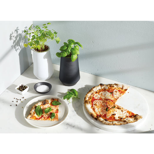 Black/Basil Modern Sprout Tapered Tumbler Grow Kit