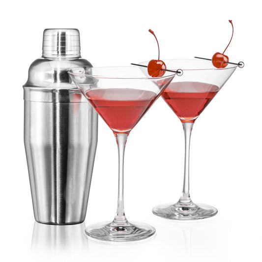 Connoisseur Shaker & Santiago Martini Set