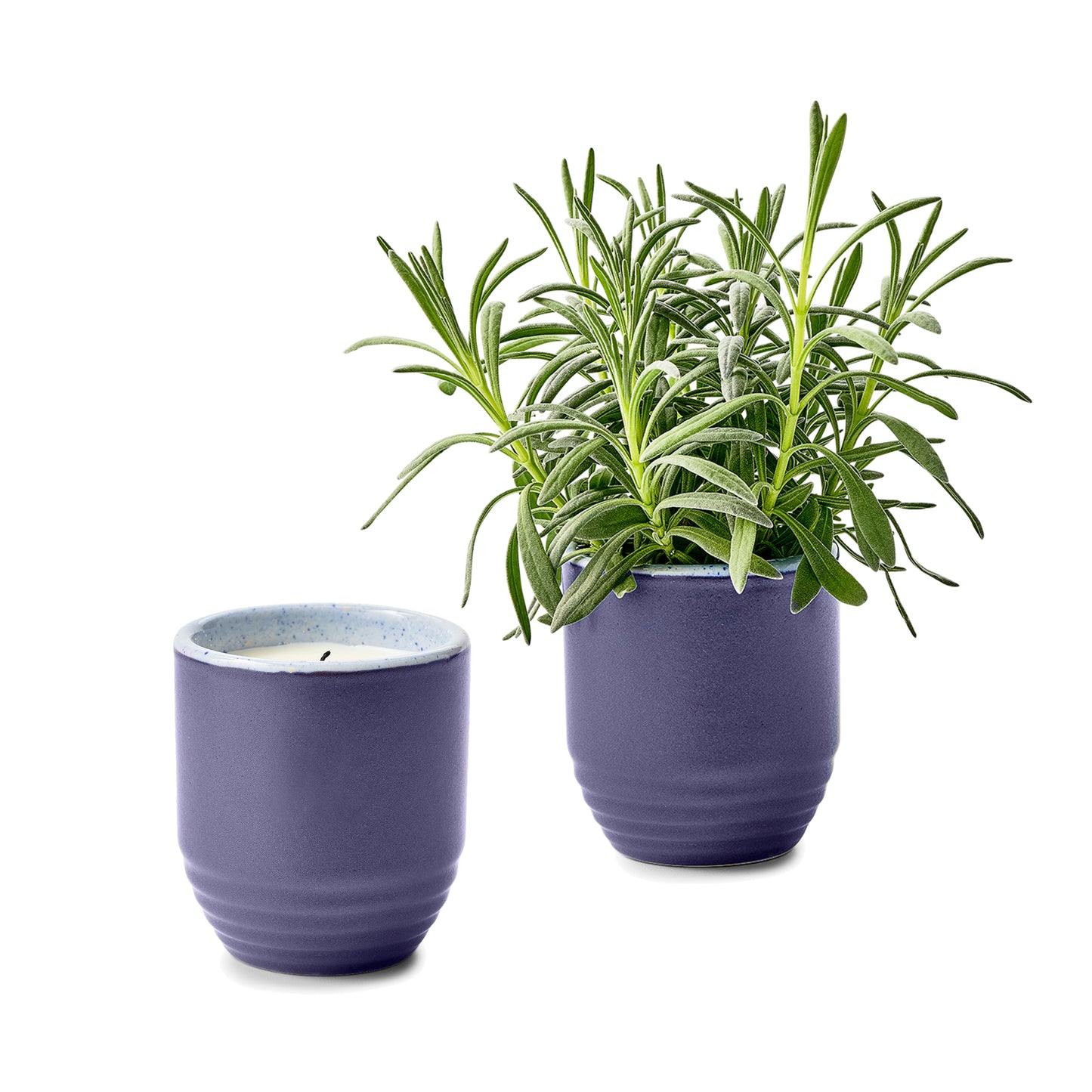 Modern Sprout® Garden Vibes Candle/Planter