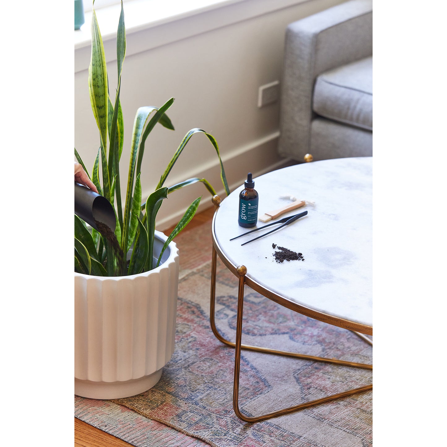 Black Modern Sprout® Plant Parent Care Kit