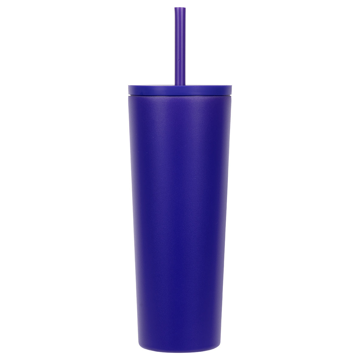 Bradford 24 oz Vacuum Insulated Stainless Steel Tumbler with Straw
