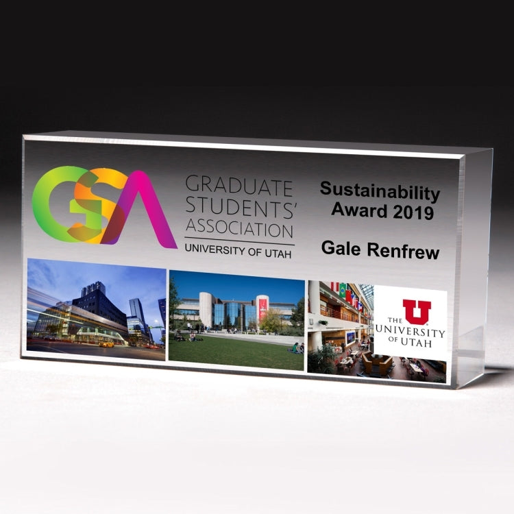 Screen Printed The Cube Award (2 1/2"x 5"x 1")