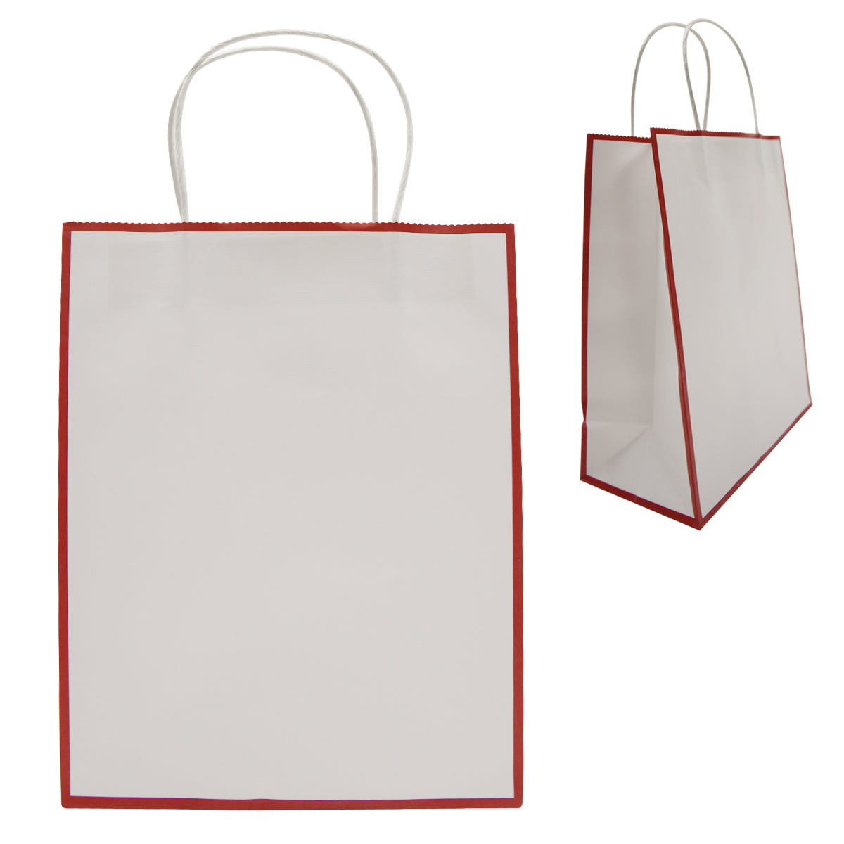 Laminated Paper Gift Bag