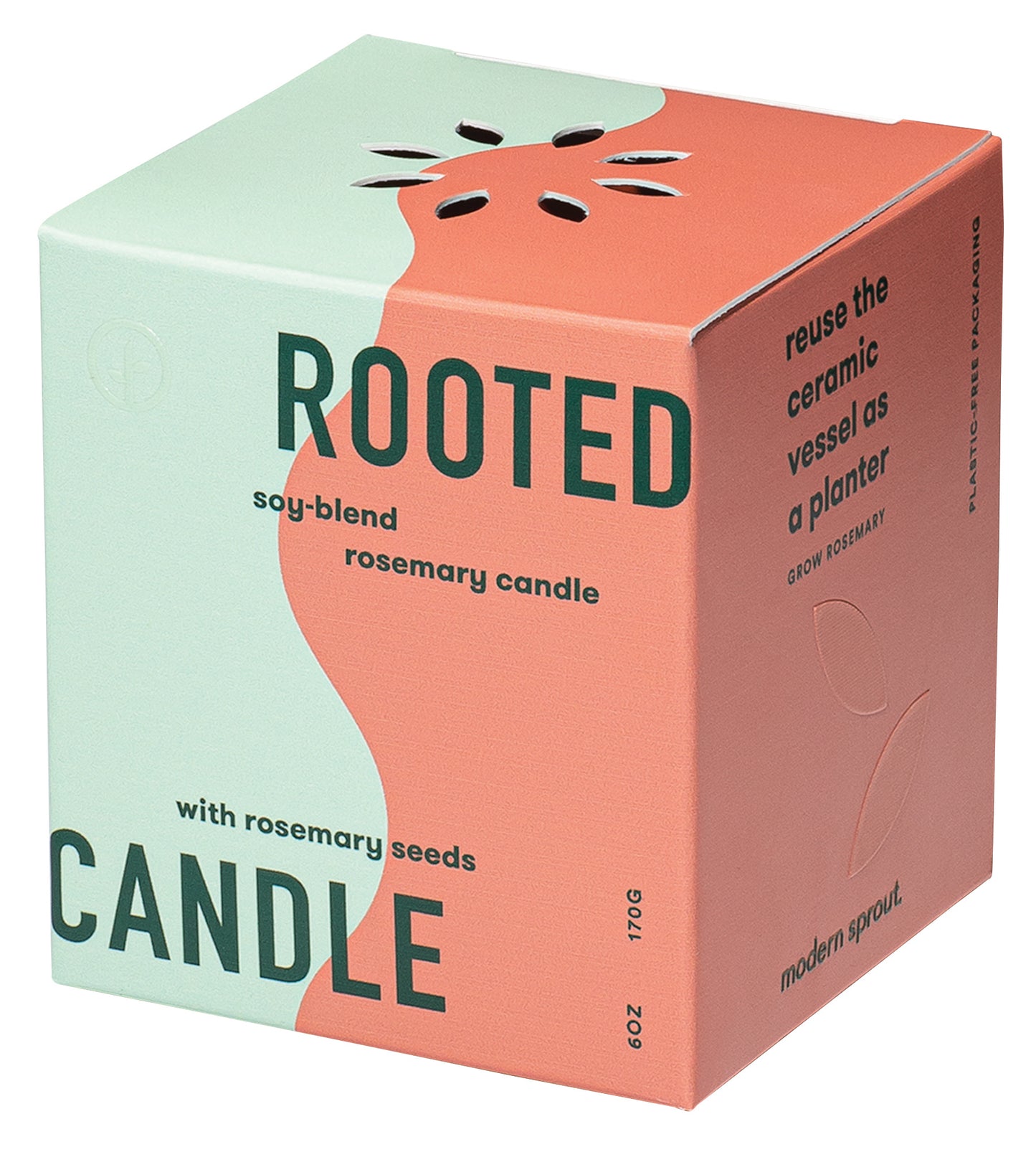 Modern Sprout® Rooted Candle