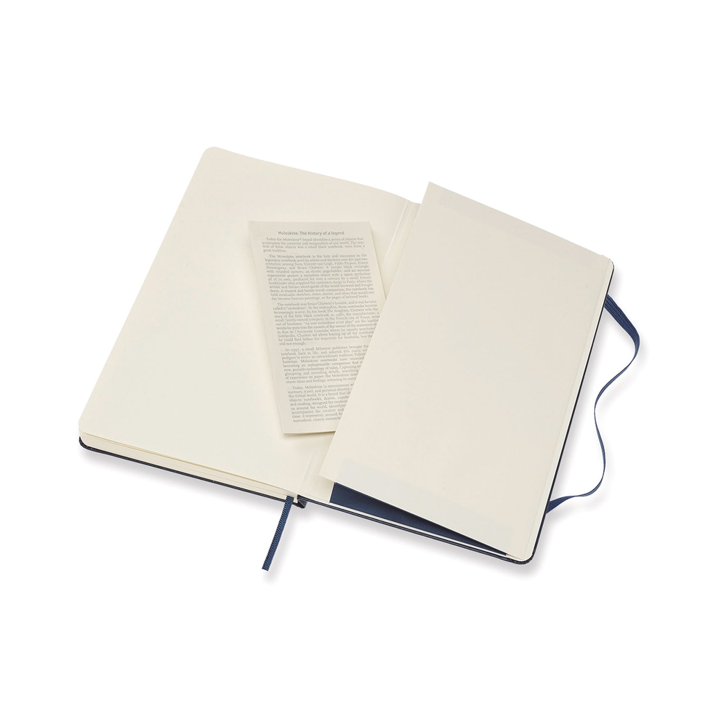 Moleskine® Hard Cover Large Sketchbook