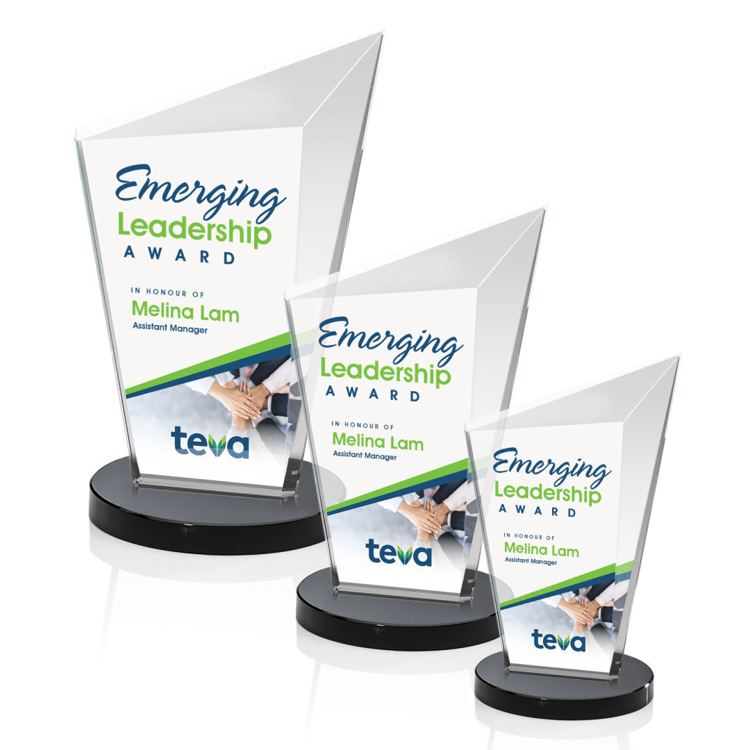Wiltshire VividPrint™ Award - Black