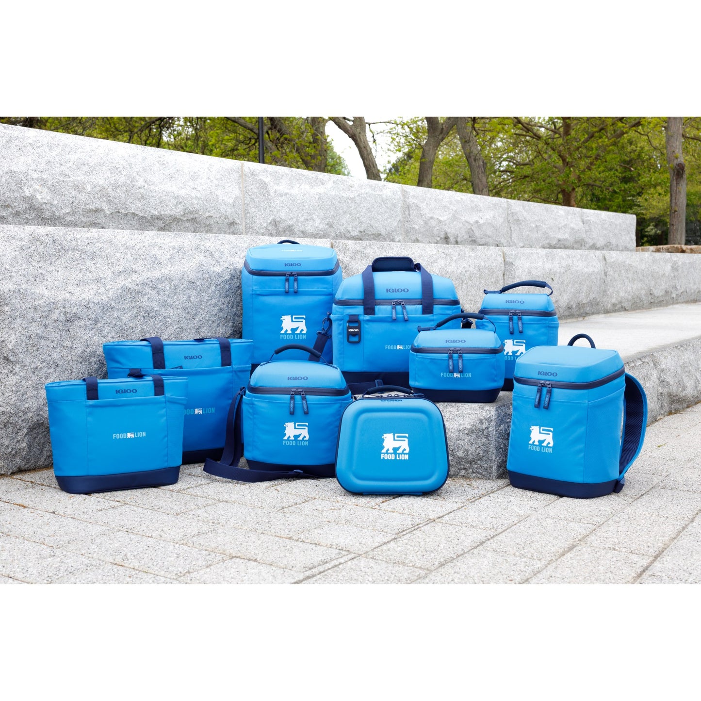 Igloo® Day Chiller Lunch Bag Cooler