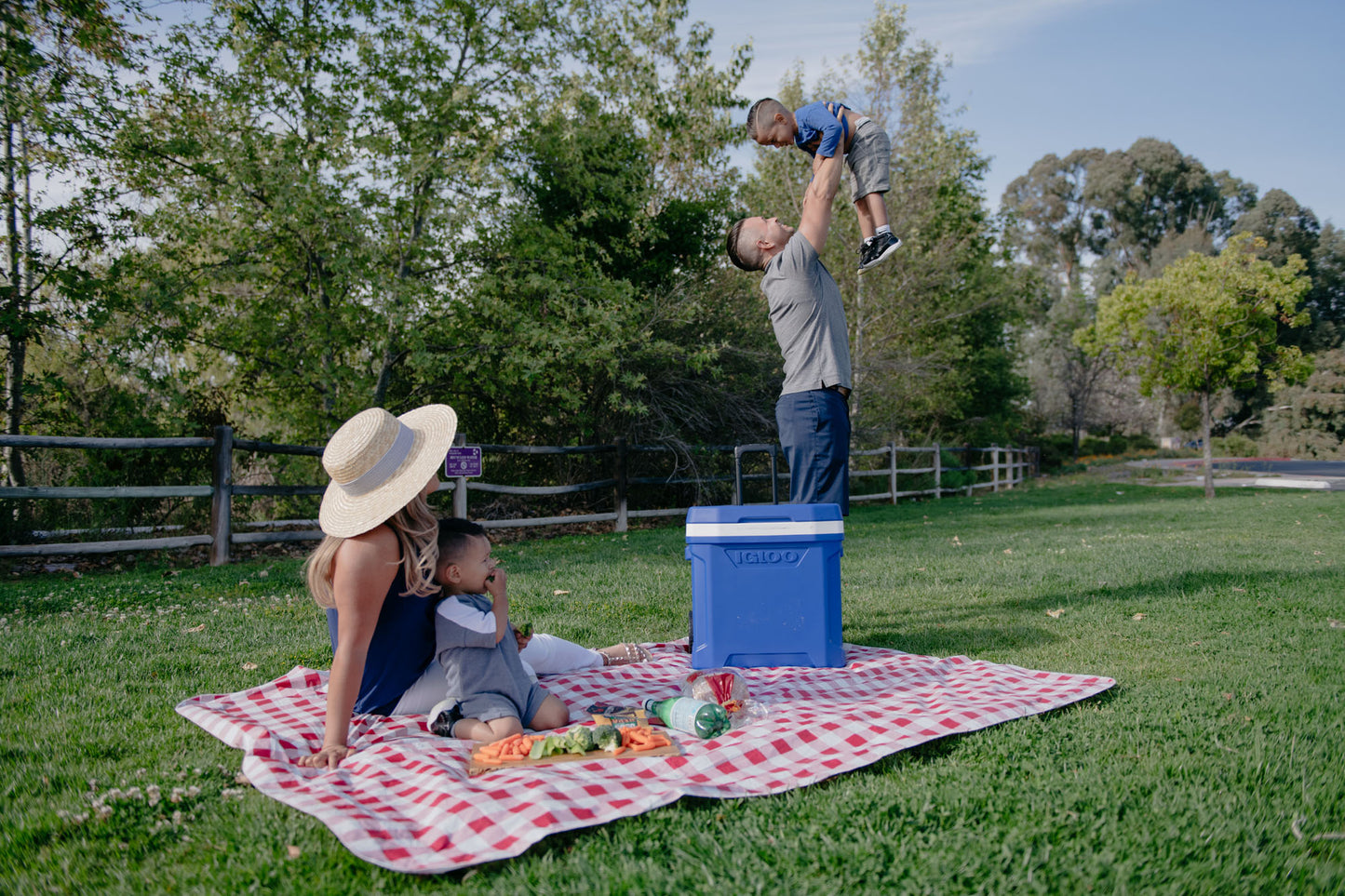 Igloo® Profile II 28 Qt Roller Cooler