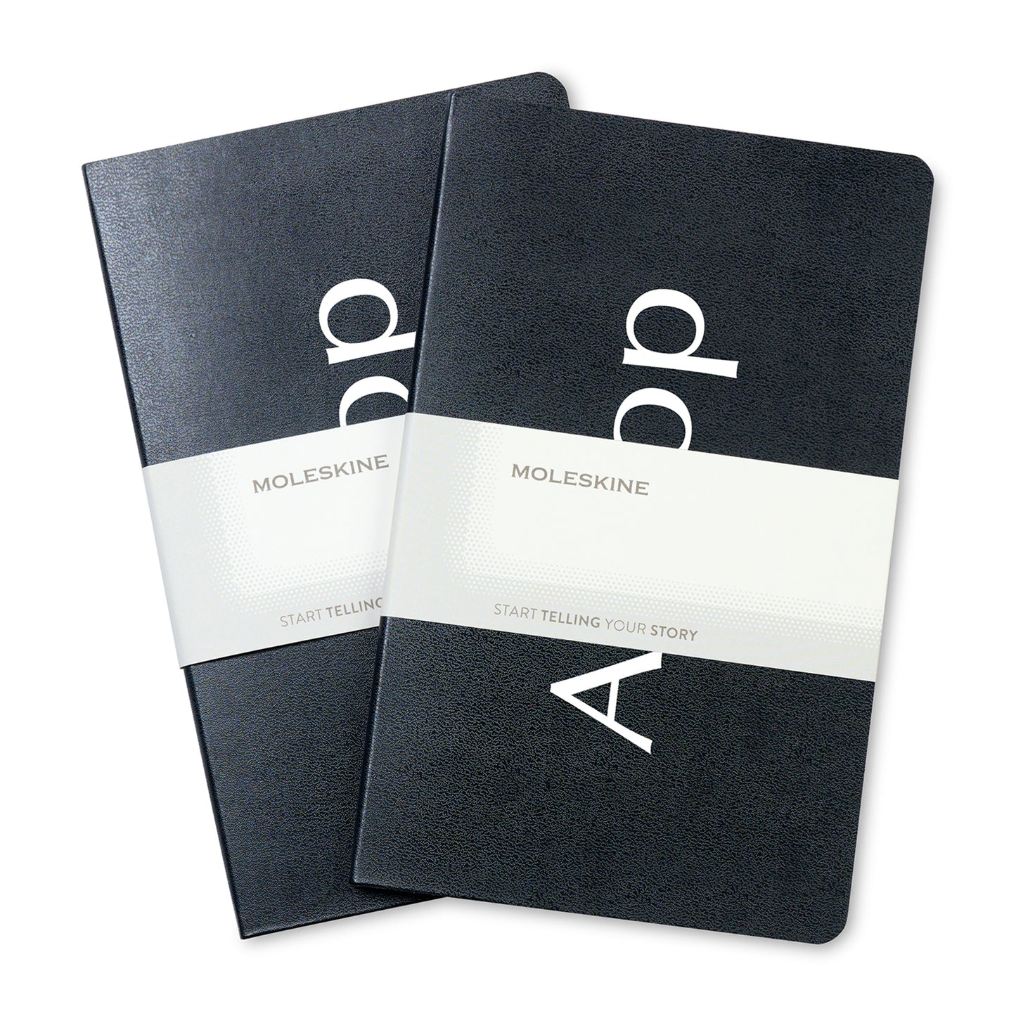 Black Moleskine® Large Volant 2-Pack