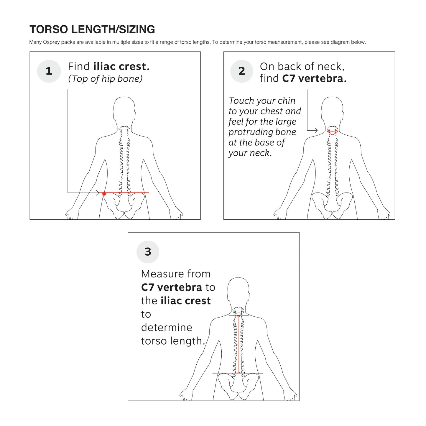 Blue Sky Osprey Sportlite™ 25 - M/L