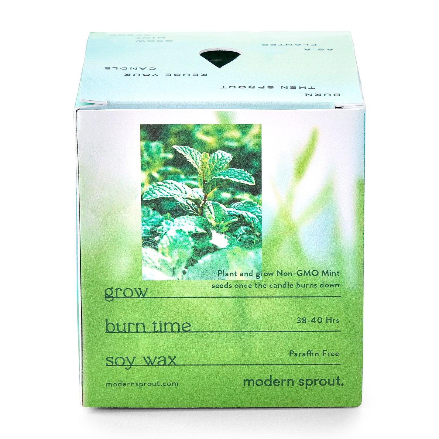 Modern Sprout® Garden Vibes Candle/Planter