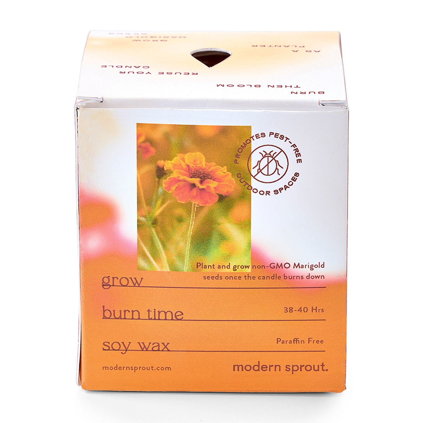 Modern Sprout® Garden Vibes Candle/Planter