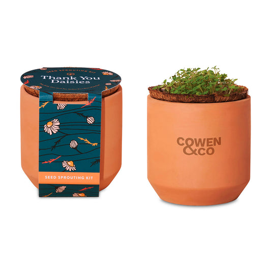 Terracotta Modern Sprout® Tiny Terracotta Grow Kit Thank You Daisies