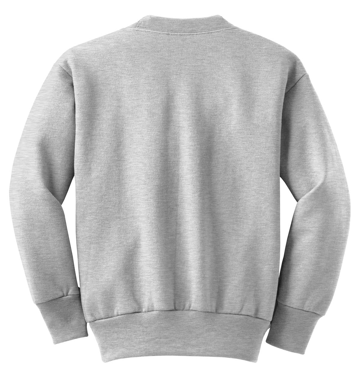 Rear View of Ash Port & Company Youth Core Fleece Crewneck Sweatshirt. PC90Y