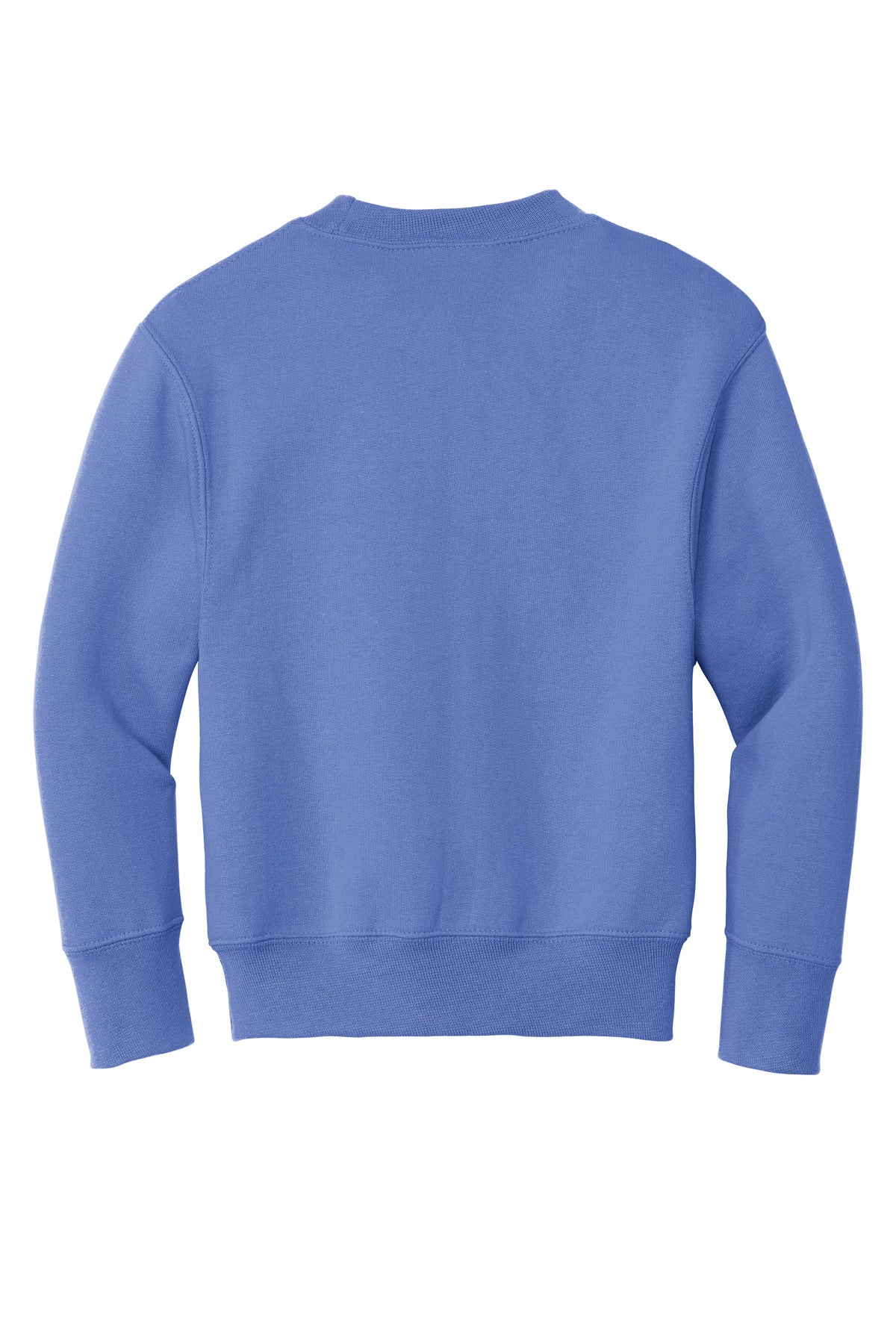 Rear View of Carolina Blue Port & Company Youth Core Fleece Crewneck Sweatshirt. PC90Y