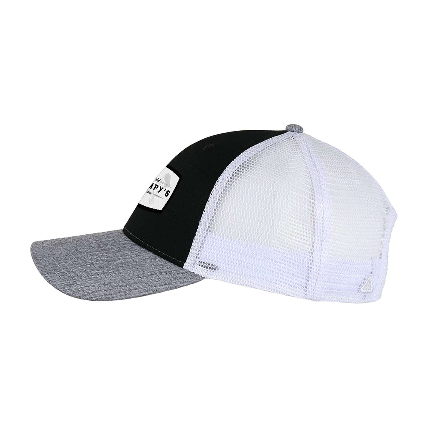 Ahead Brant Cap