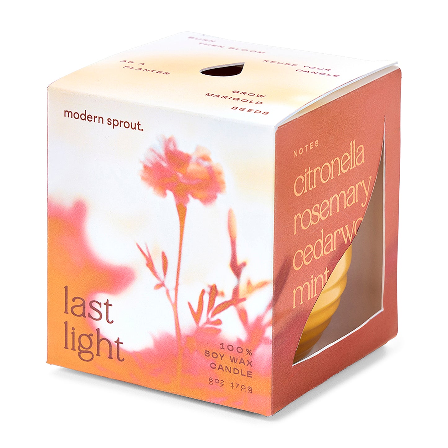 Modern Sprout® Garden Vibes Candle/Planter