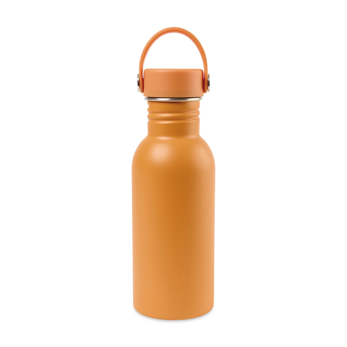 Arlo Classics Stainless Steel Hydration Bottle - 17 Oz.