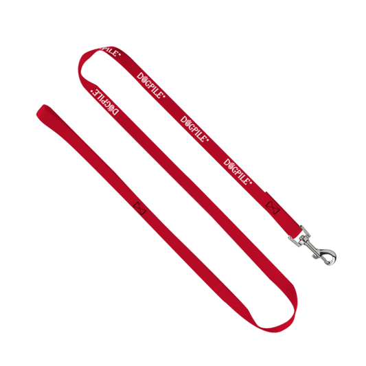 3/4" Smooth Nylon Pet Leash with Bright Metal Snap Hook